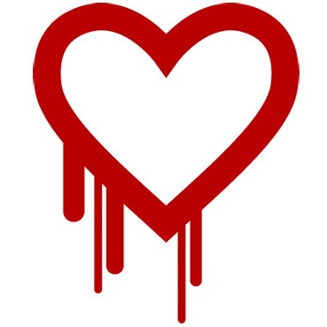 Heartbleed Bug